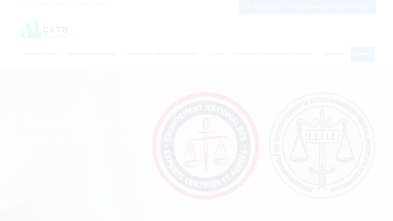 Capture d'écran de http://www.tesse-expertise-batiment.com/ 
